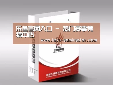 项目名称十三