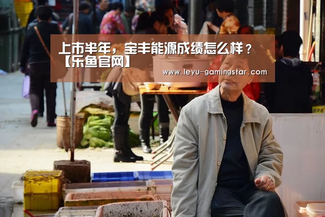 上市半年,宝丰能源成绩怎么样?【乐鱼官网】(图2) 乐鱼体育平台