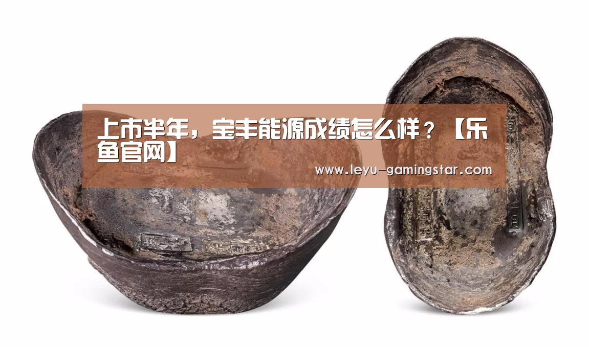 上市半年,宝丰能源成绩怎么样?【乐鱼官网】(图3) 乐鱼体育平台