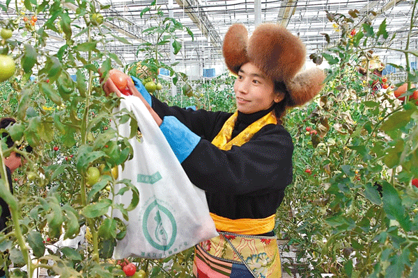 乐鱼体育平台